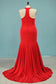 Plus Size Evening Dresses Mermaid High Neck Spandex Sweep Train