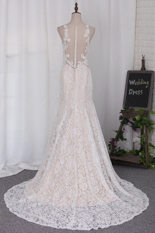 2024 New Arrival Wedding Dresses Mermaid Scoop Lace With Applique Court Train