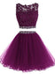 Elegant Two Piece Short Homecoming Dresses Haleigh Tulle Purple CD234