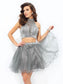 A-line/Princess High Neck Ruffles Sleeveless Short Homecoming Dresses Net Gracie Two Piece Dresses