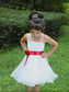 Organza Straps Spaghetti Hand-made Flower A-line/Princess Short Flower Girl Dresses