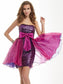 Bowknot Strapless A-Line/Princess Sleeveless Short Organza Homecoming Dresses