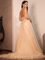 Applique V-neck A-Line/Princess Sweep/Brush Lace Sleeveless Train Wedding Dresses