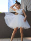 Lace Scoop Sleeveless A-Line/Princess Tulle Knee-Length Flower Girl Dresses