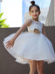 Lace Scoop Sleeveless A-Line/Princess Tulle Knee-Length Flower Girl Dresses