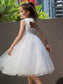 Neck Tulle Sleeveless Knee-Length Lace A-Line/Princess High Flower Girl Dresses